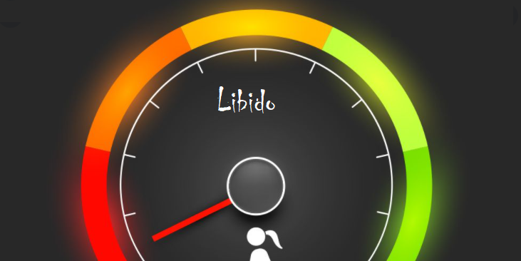 A stylized gauge with a needle pointing towards the red zone, labeled with "libido" at the top, suggesting a metaphor for high sexual drive or arousal levels in men despite common causes of low