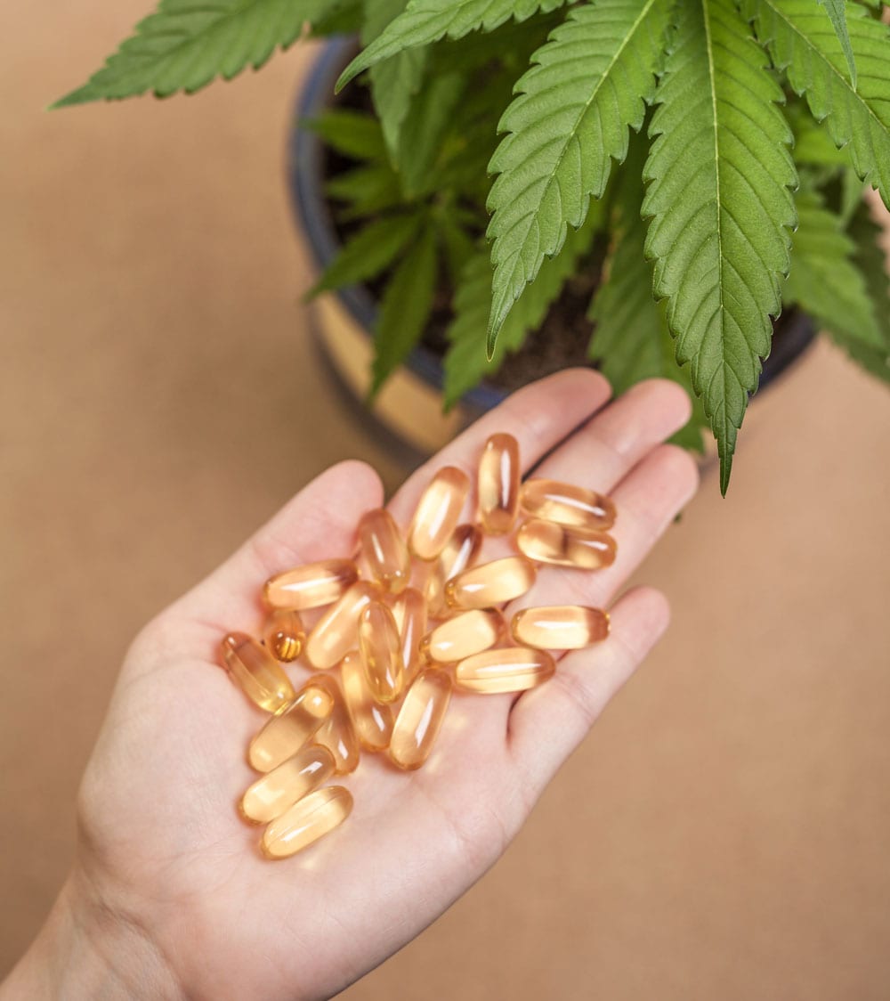 A hand holding a collection of golden capsules prescribed by a sexual health specialist in Los Angeles, with a potted plant, featuring serrated leaves, in the background.