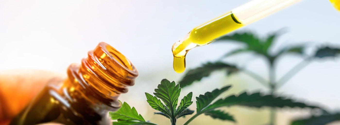 A dropper bottle dispensing a viscous, golden liquid against a backdrop of green cannabis leaves, suggesting the extraction of CBD oil or another hemp-derived substance for hormone therapy in Los Angeles.